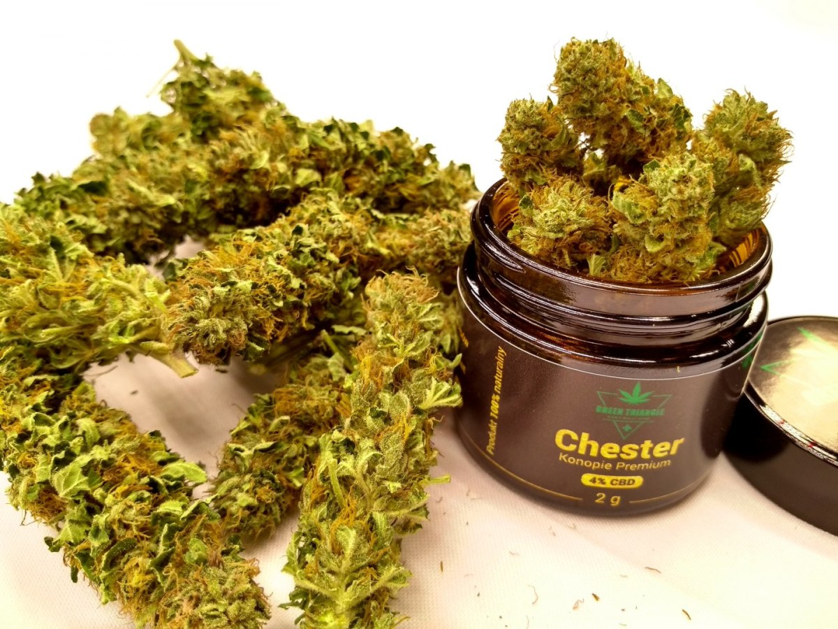 Kwiatostany konopi premium - Chester V2 - susz CBD~4% THC