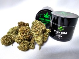 Kwiatostany konopi premium - Pure CBG - susz CBG~6% THC